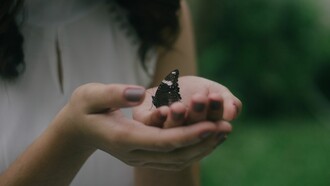 La esencia de un insectario: el contacto entre personas e insectos