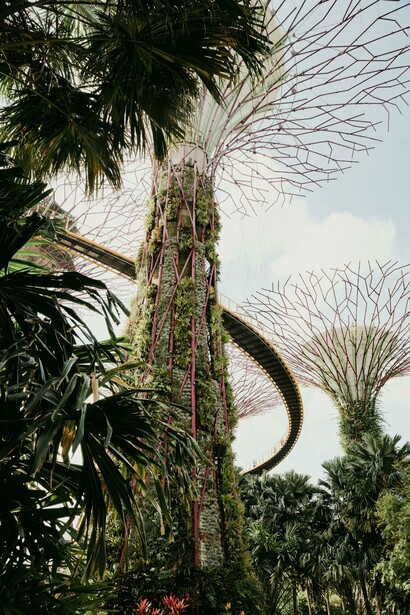 Sensory engagement and climate regulation are elements presented in Gardens by the Bay, Singapore 