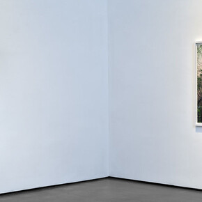 Lustre. Courtesy of Bryce Wolkowitz Gallery