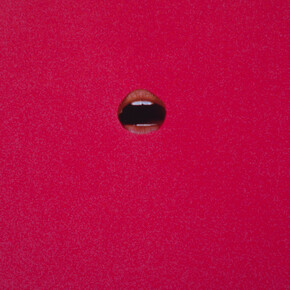 Gina Osterloh, detail of "Orifice and Color Field (Red)", 2014. Courtesy of the Artist, and François Ghebaly, Los Angeles.