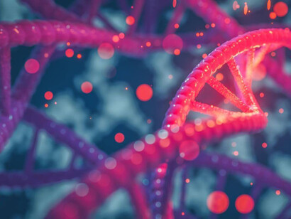 Representación gráfica de varios segmentos de ADN
