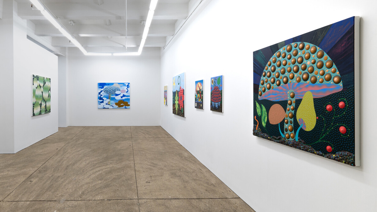 Eric Hibit, The big seed, exhibition view. Courtesy of Morgan Lehman Gallery