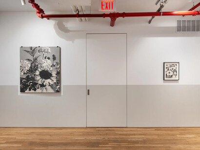 Jeff Wallace, To from, exhibition view. Courtesy of Jane Lombard Gallery