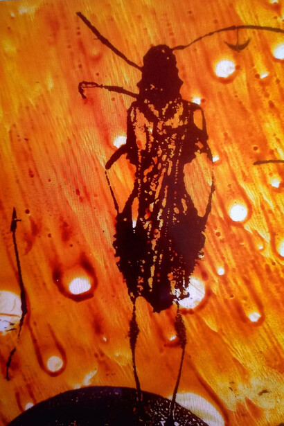 Il cavaliere errante