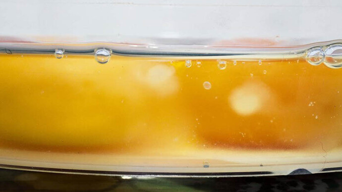 Michael Schmidt. Courtesy of Hamburger Bahnhof