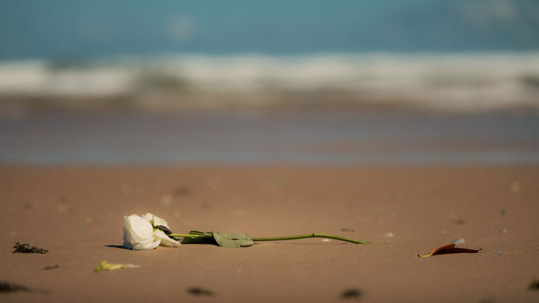 Uma rosa branca repousa sobre a areia diante do mar, imagem que evoca a delicadeza daquilo que permanece depois da perda. O luto não apaga o vínculo com o que se foi, mas abre um processo de transformação e reconstrução. Entre a ausência e a reconstrução, o luto exige que o sujeito encontre uma nova forma de sustentar aquilo que perdeu. Algumas perdas não pedem esquecimento, mas tempo para que aquilo que permanece encontre um novo lugar
