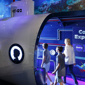 Colour. Secret language of the reef, exhibition view. Courtesy of Queensland Museum Tropics