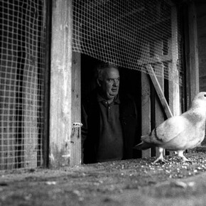 Birdmen. Courtesy of Kunsthal Rotterdam