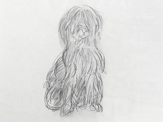 Anne Arnold, Small Dog, c. 1980s, pencil on paper, 13 1/4 x 10 1/4 inches © Anne Arnold, courtesy Alexandre Gallery, New York