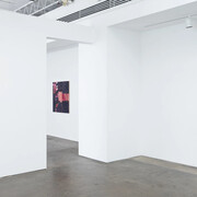 Jodi Hays, To harden and heal, exhibition view. Courtesy of Johnson Lowe Gallery