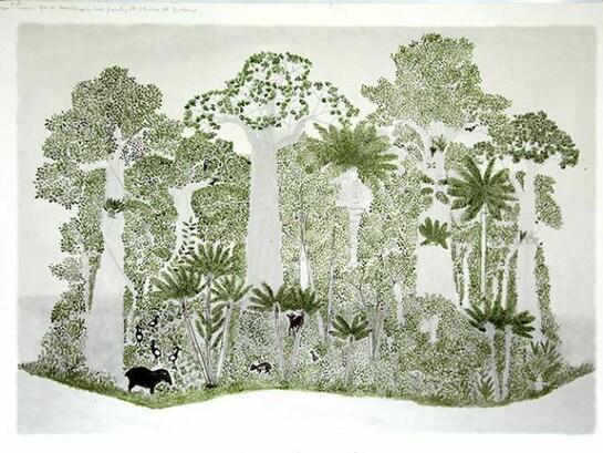 Abel Rodríguez (b. 1941). Ciclo anual del bosque de la vega (Seasonal changes in the flooded rainforest), 2009-10. Ink and watercolor over digital print on paper. 1 of 12 drawings. Courtesy of Tropenbos International, Colombia.