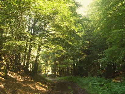 ¿Cómo salir del engaño que obnubila nuestra mente y ciega nuestros ojos? 