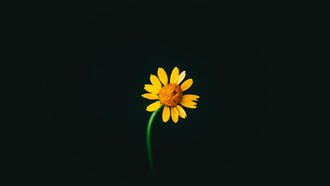 Turning Despair into Hope