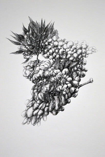 Silène Audibert
Montagnes de désirs, 2014
Papier, plume, encre de Chine
30 x 40 cm
Courtesy de l’artiste et Noorforart Contemporary Gallery