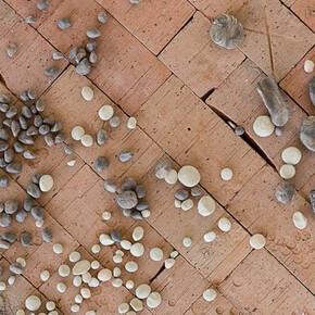 Kate Newby. Courtesy of Kunsthalle Wien