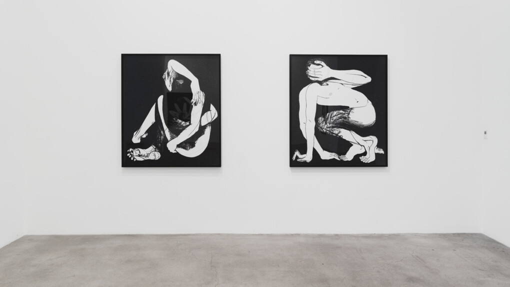 Marty Schnapf. Courtesy of Diane Rosenstein Gallery