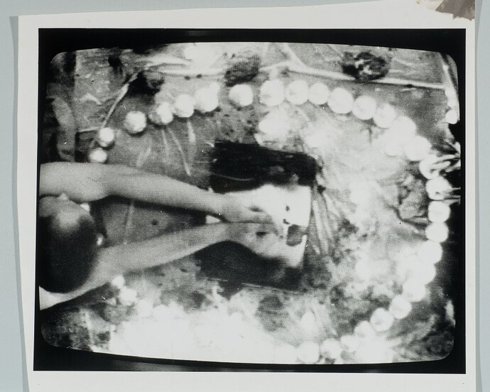 The Subject in the Land. Courtesy of Auckland Art Gallery