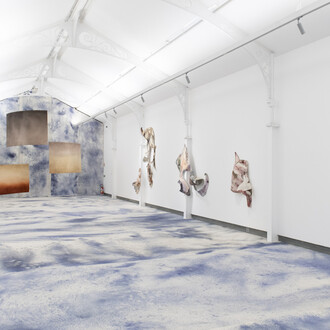 Juliana dos Santos, Early, exhibition view. Courtesy of Pinacoteca