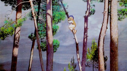 «El niño de las piñas», Alfonso Daniel R. Castelao