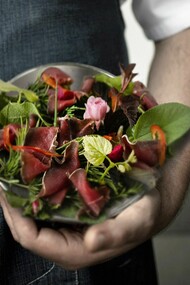 Una nuova sfida enogastronomica: la nuova cucina 