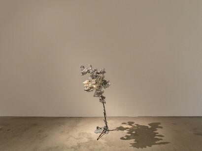 Yasue Maetake, Mare fecunditatis – resurrection, exhibition view. Courtesy of Silverlens Galleries