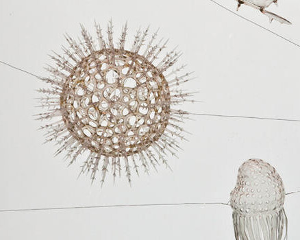 Hall of Biodiversity. Courtesy of American Museum of Natural History