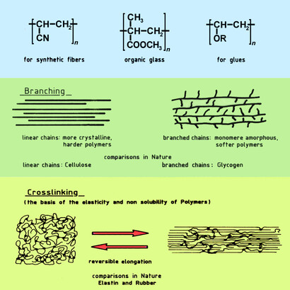 General principles of macromolecular chemistry. Main structural parameters for the regulation of the physical properties of polymers. Linearity and branching (which decreases the tendency to crystallinity) and intermolecular cross-linking (responsible of rubber elasticity).