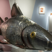 Anssi Kasitonni, Below zero Finnish art award 2025, exhibition view. Courtesy of Serlachius Museum