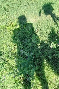 Io sono strada