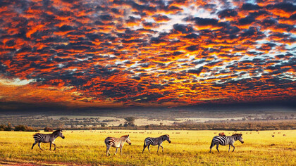 Atardecer en el Parque Nacional Serengueti