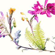 Jennifer Wanner. Second Nature. Courtesy of Glenbow 