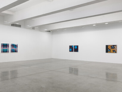 Lisa Oppenheim, Installation view of A Durable Web., Tanya Bonakdar Gallery, New York, September 7 – October 21, 2017.
Photo: Maris Hutchinson. Courtesy of the artist and Tanya Bonakdar Gallery, New York