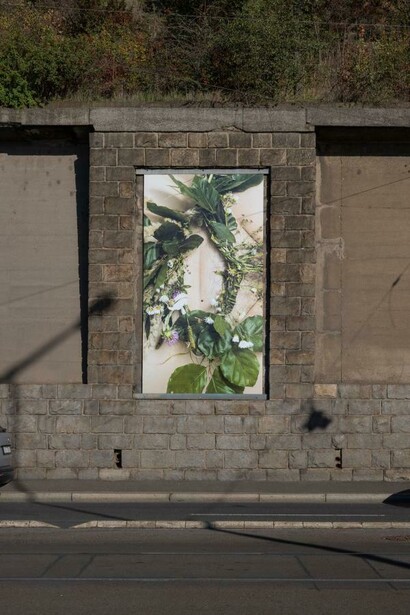 Petra Janda, Caesereans, exhibition view. Courtesy of Artwall Gallery