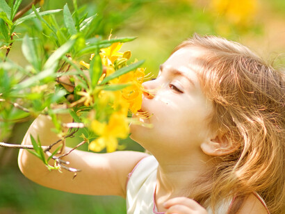 Perdersi nei profumi