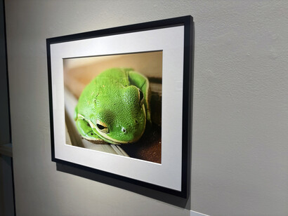 River clicks, 2024 award winners, exhibition view. Courtesy of Witte Museum