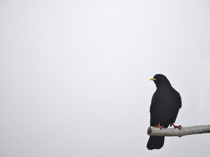 A veces la situación de la familia se convierte en un infierno