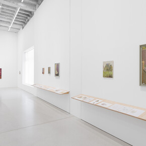 Diana Cepleanu, exhibition view. Courtesy of Galeria Plan B 