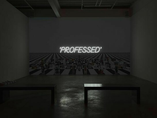 Frances Stark, installation views. Photos by Mark Woods