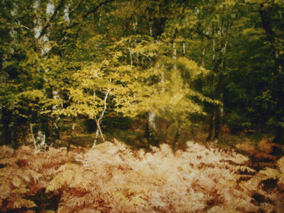 Baghir. Courtesy of Galerie Photo12