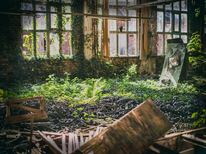 La nature réclamant ce qui reste d'un passé oublié