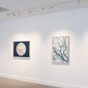 Dora Somosi, Understory, in blue, exhibition view. Courtesy of Sarah Shepard Gallery