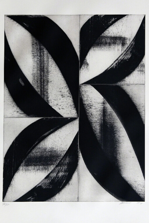Charles Arnoldi Arcs & Strings. Courtesy of Meyerovich Gallery