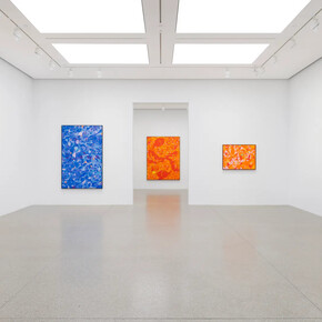 Tunji Adeniyi-Jones, Immersions, exhibition view. Courtesy of White Cube