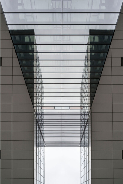 Piero Mollica, Crane, Lambda print mounted Diasec, 100 x 70 cm, - ed. 5, 2014