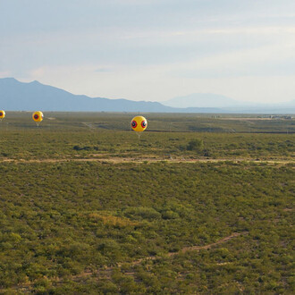 Modern and Contemporary Art. Courtesy of Princeton University