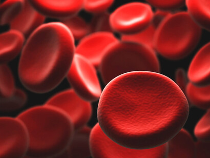 Los investigadores pudieron identificar qué genes se activaron o desactivaron dentro de las células inmunes