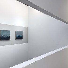 Nico Munuera, El sauce es verde, vista de exhibición. Cortesía de Galería Moisés Pérez de Albéniz