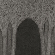 Olmo Erba, Putridarium. Courtesy of Putridarium Gallery