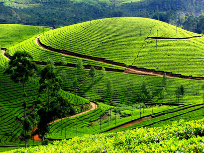 Kerala Hills
