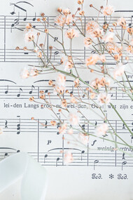 Sons do coração quando ama escritos em forma de partitura